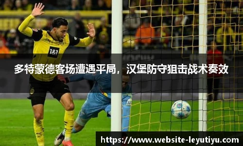乐鱼体育公司