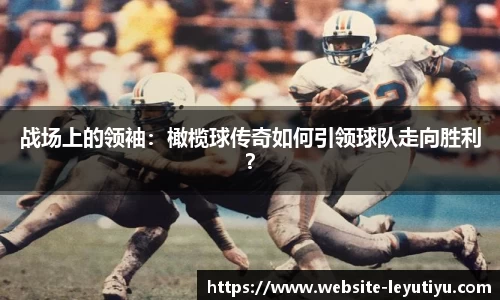 乐鱼体育公司